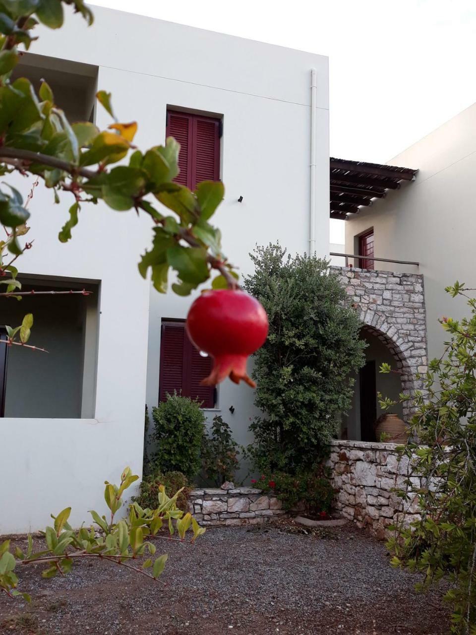 Vilana Studios Kalamos  Exteriör bild